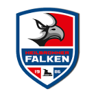 Хейлбронер Фалькен