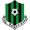 Рокичани