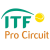 ITF Женщины. W15 Tianjin 4 - хард, 1/4